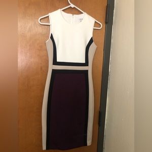 Calvin Klein Colorblock Dress